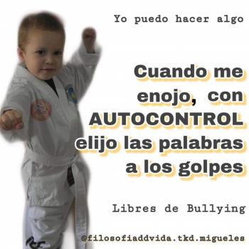 CAMPAÑA CONTRA EL BULLYING
